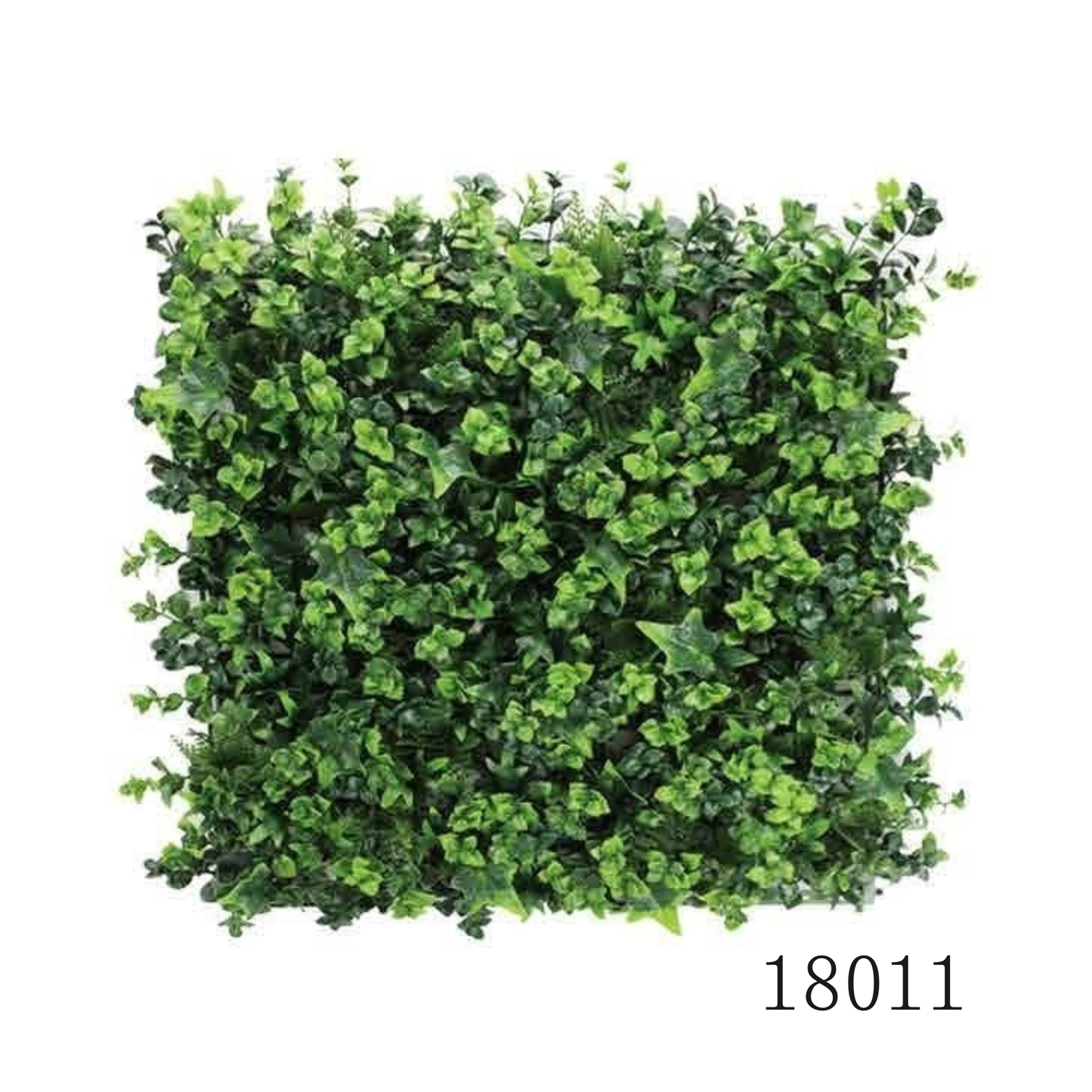 Wall Green ⏐ ウォールグリーン