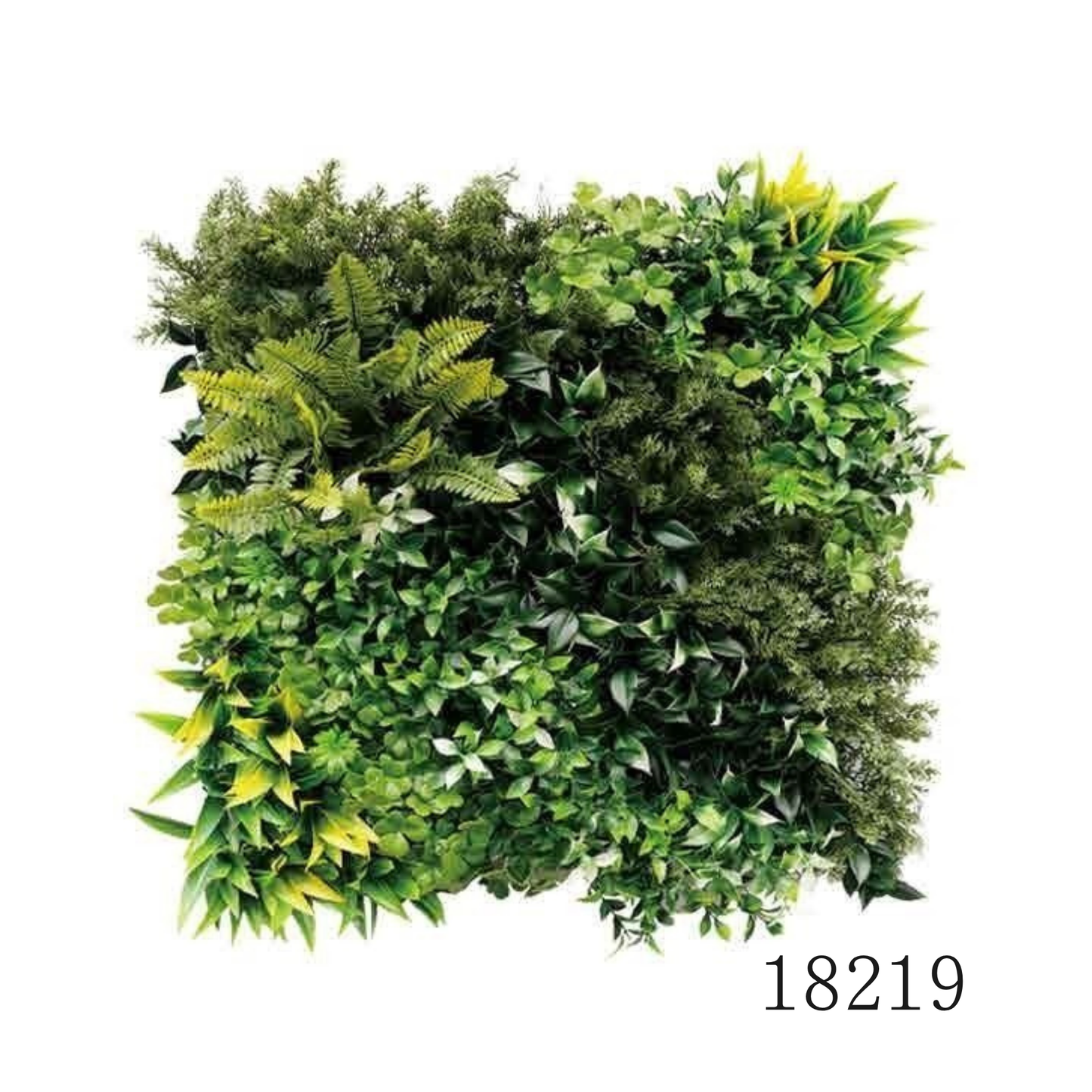 Wall Green ⏐ ウォールグリーン