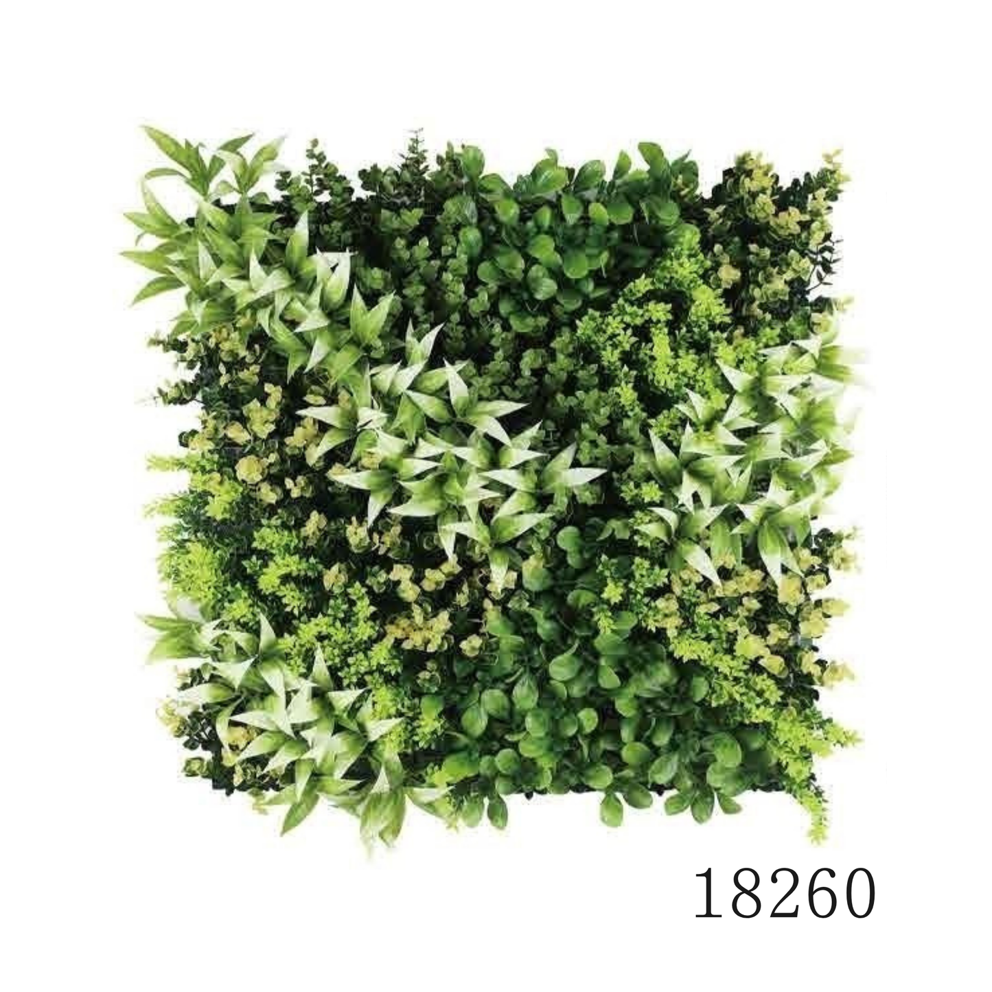 Wall Green ⏐ ウォールグリーン