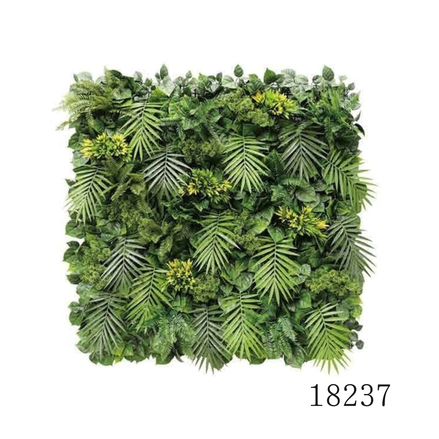Wall Green ⏐ ウォールグリーン
