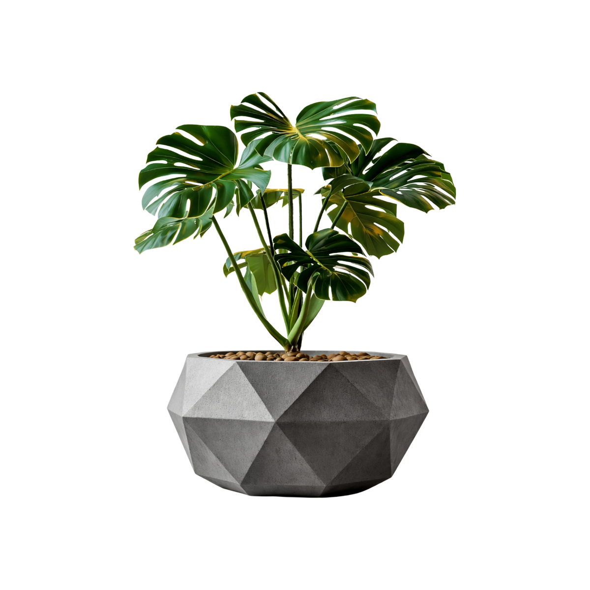 BETTI Planter - Octas ⏐ ベッティ プランター「オクタス」