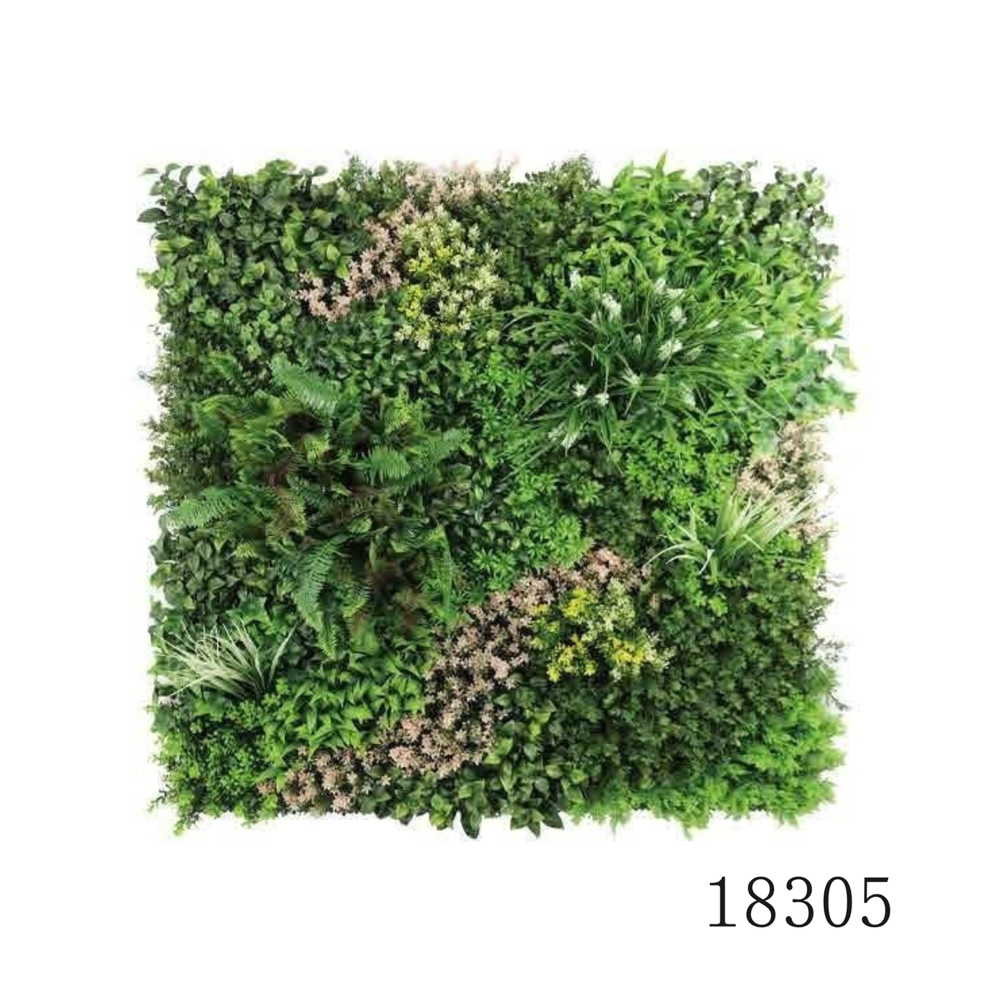 Wall Green ⏐ ウォールグリーン