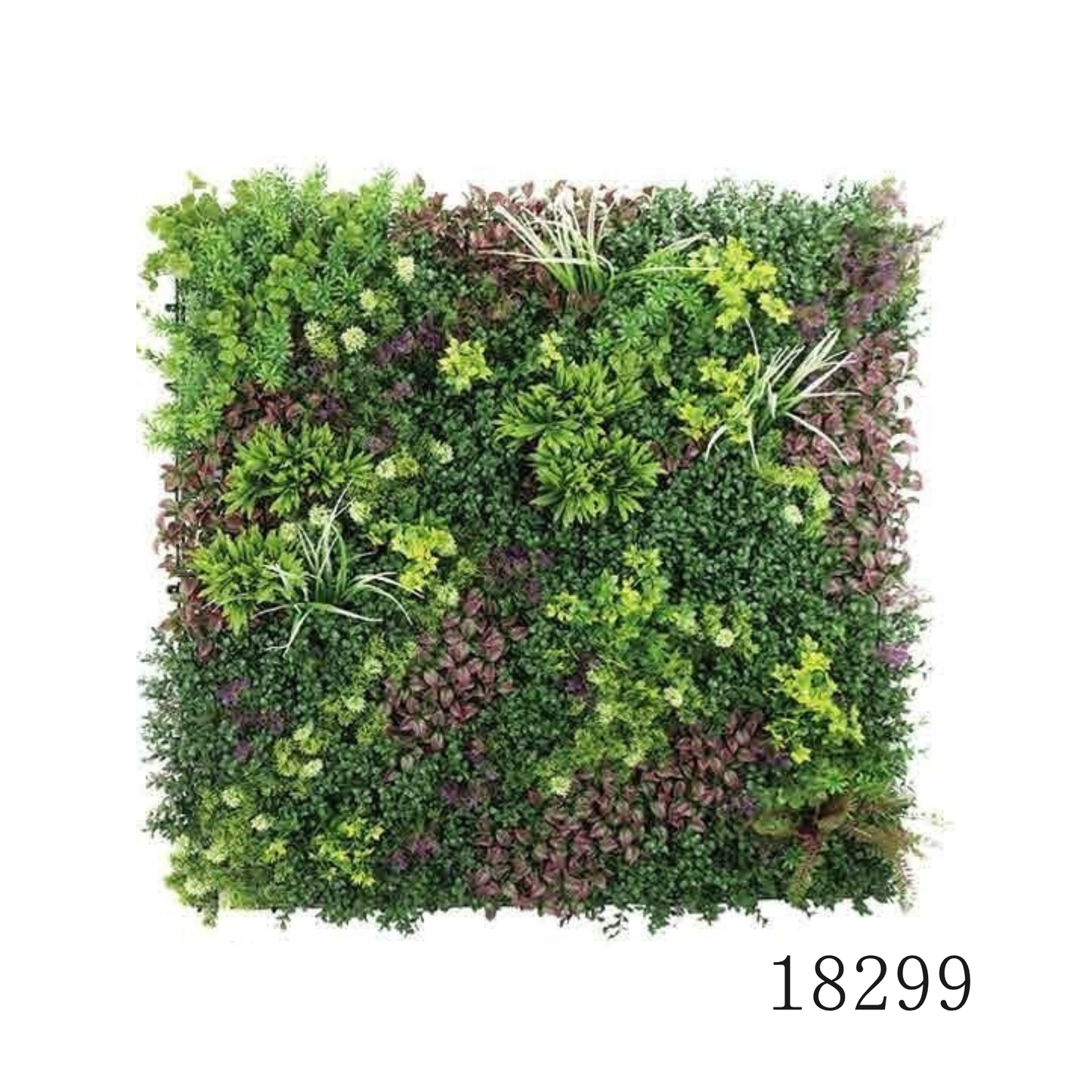 Wall Green ⏐ ウォールグリーン