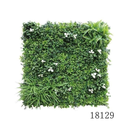 Wall Green ⏐ ウォールグリーン
