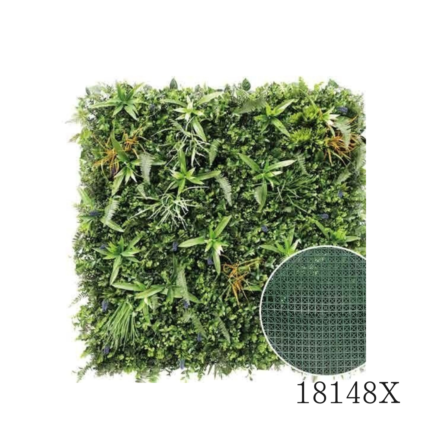 Wall Green ⏐ ウォールグリーン