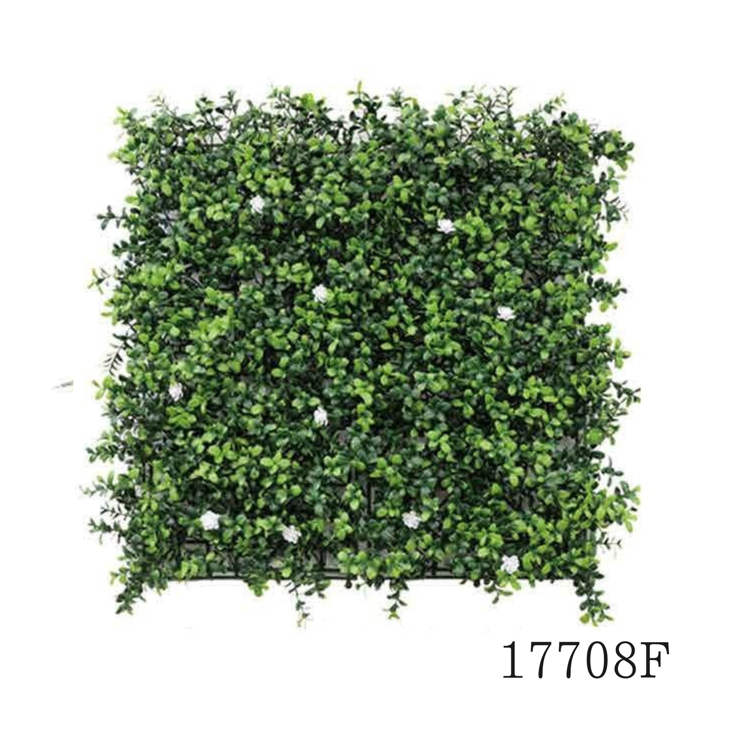 Wall Green ⏐ ウォールグリーン