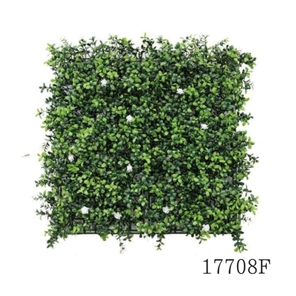 Wall Green ⏐ ウォールグリーン
