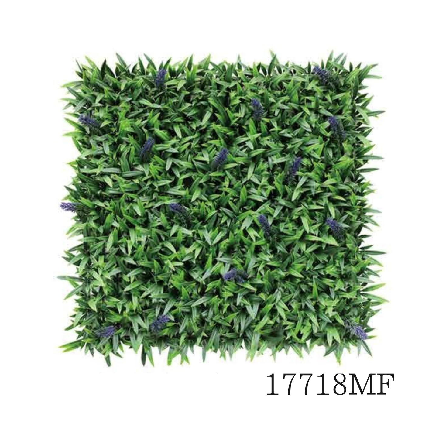 Wall Green ⏐ ウォールグリーン