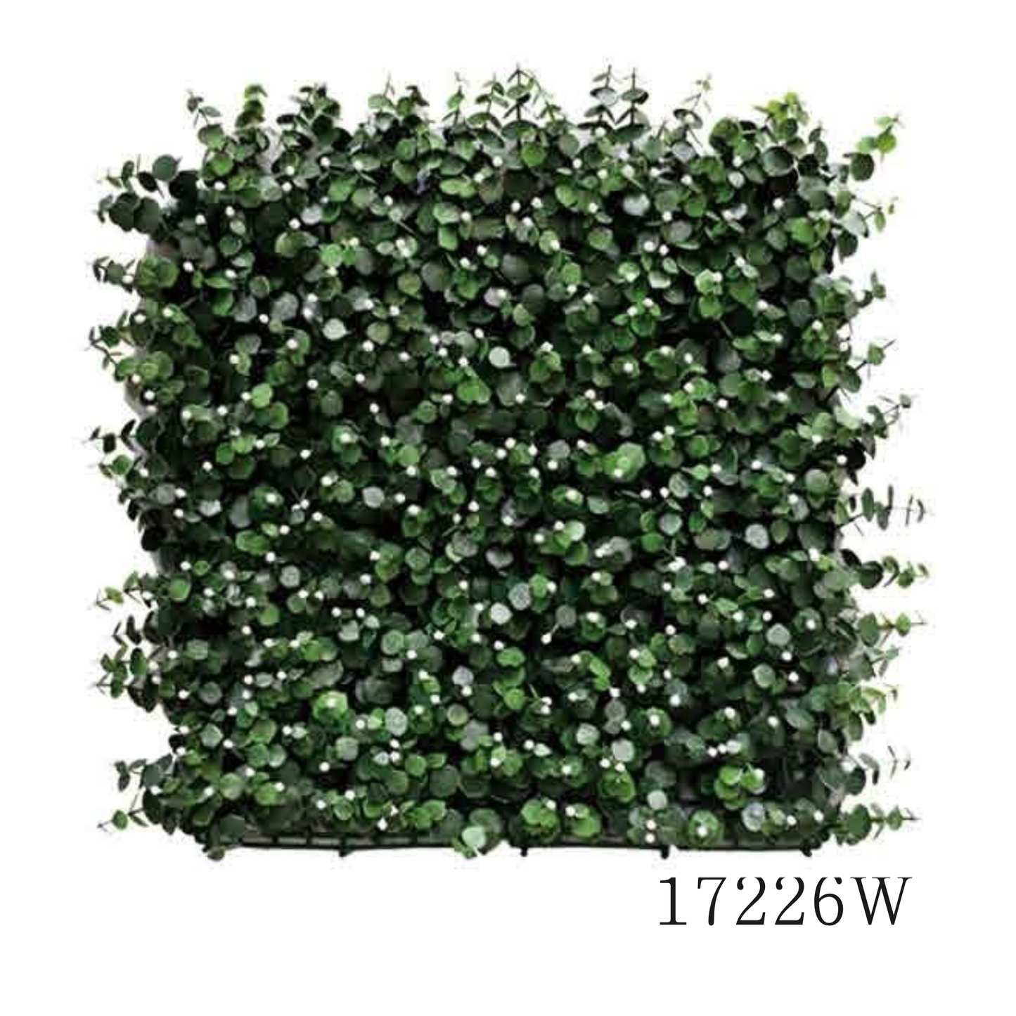 Wall Green ⏐ ウォールグリーン