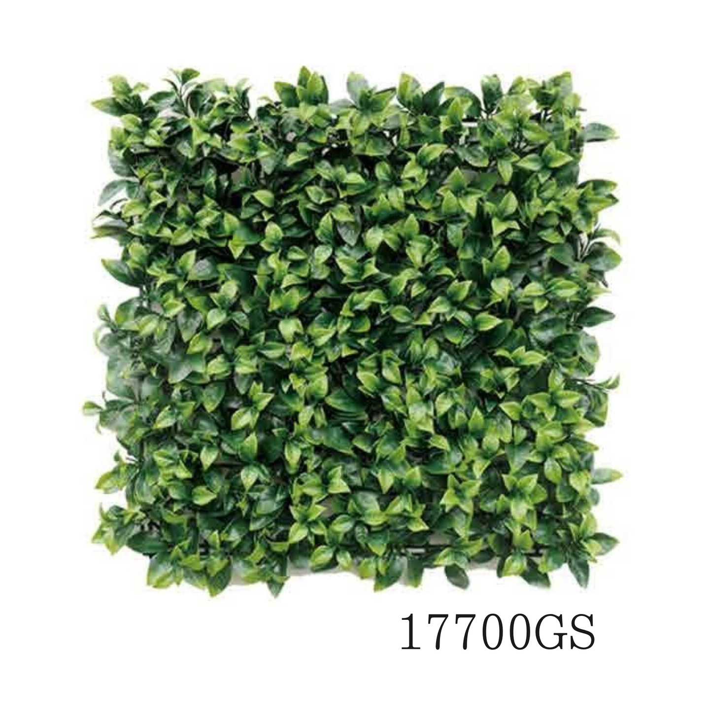 Wall Green ⏐ ウォールグリーン