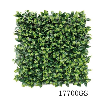 Wall Green ⏐ ウォールグリーン