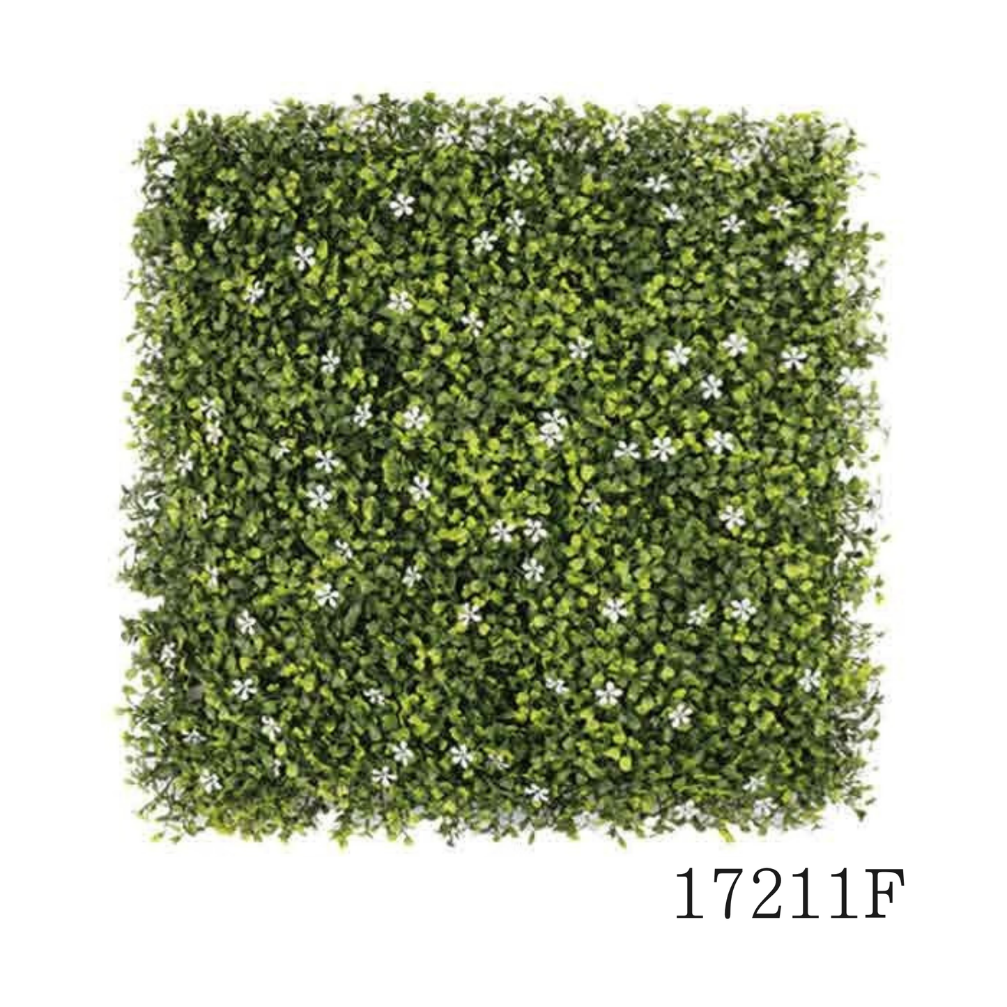 Wall Green ⏐ ウォールグリーン