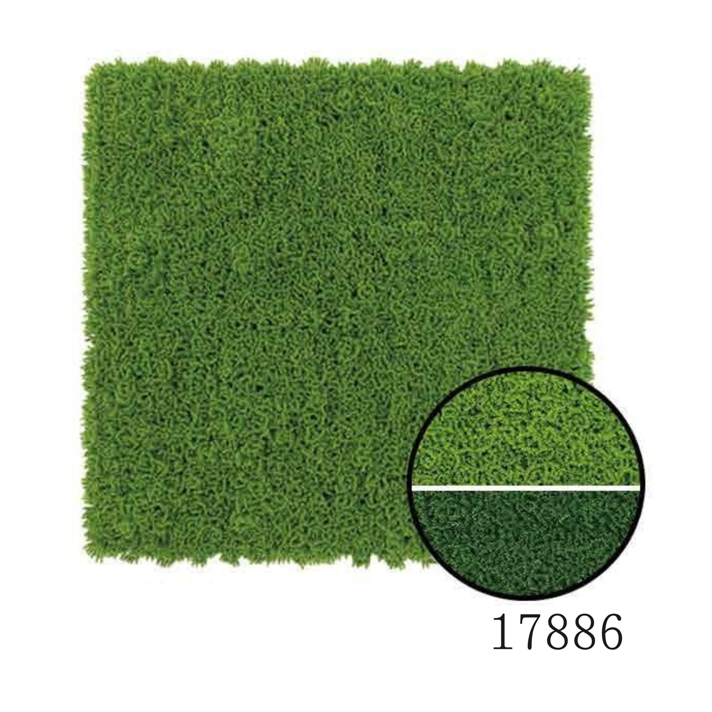 Wall Green ⏐ ウォールグリーン