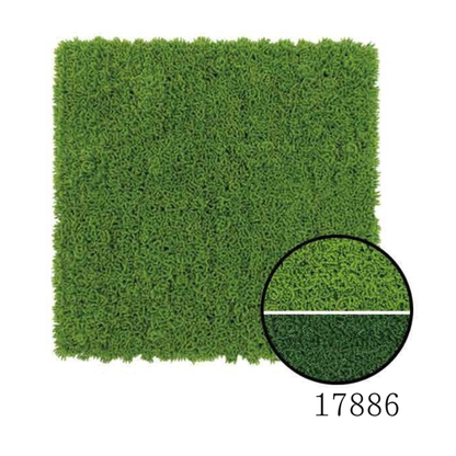 Wall Green ⏐ ウォールグリーン