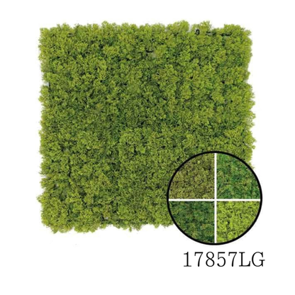 Wall Green ⏐ ウォールグリーン