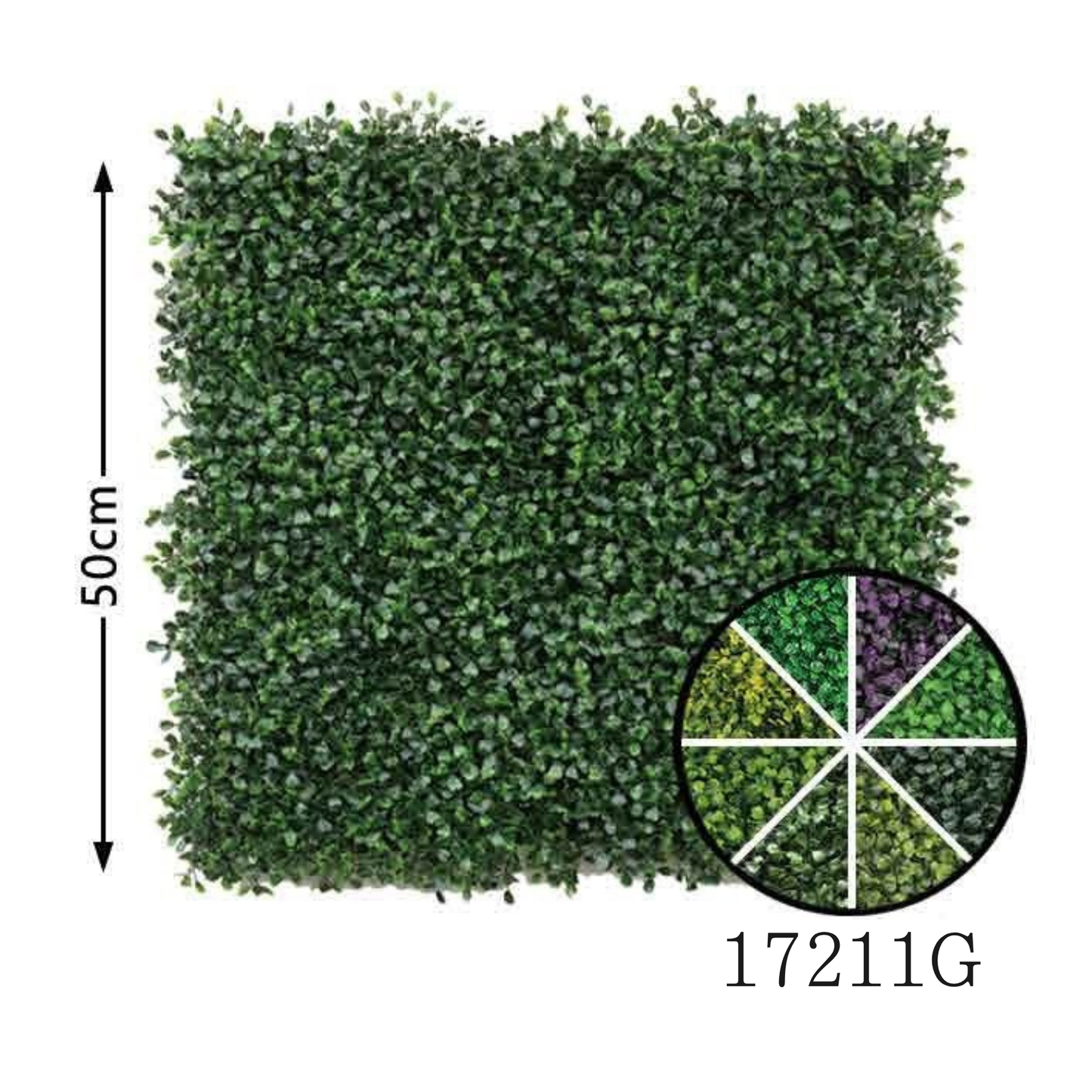 Wall Green ⏐ ウォールグリーン