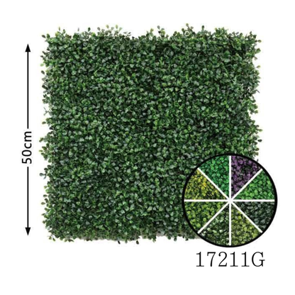 Wall Green ⏐ ウォールグリーン
