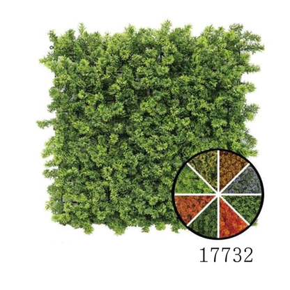 Wall Green ⏐ ウォールグリーン
