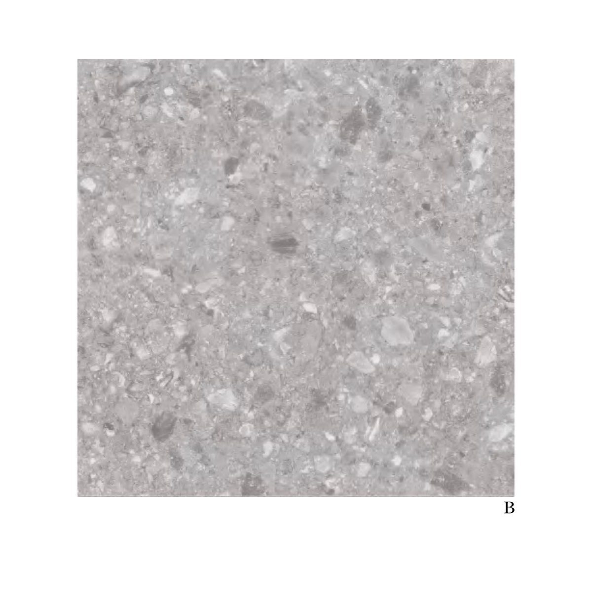 20mm Porcelain Tile ⏐ 20mm大判タイル