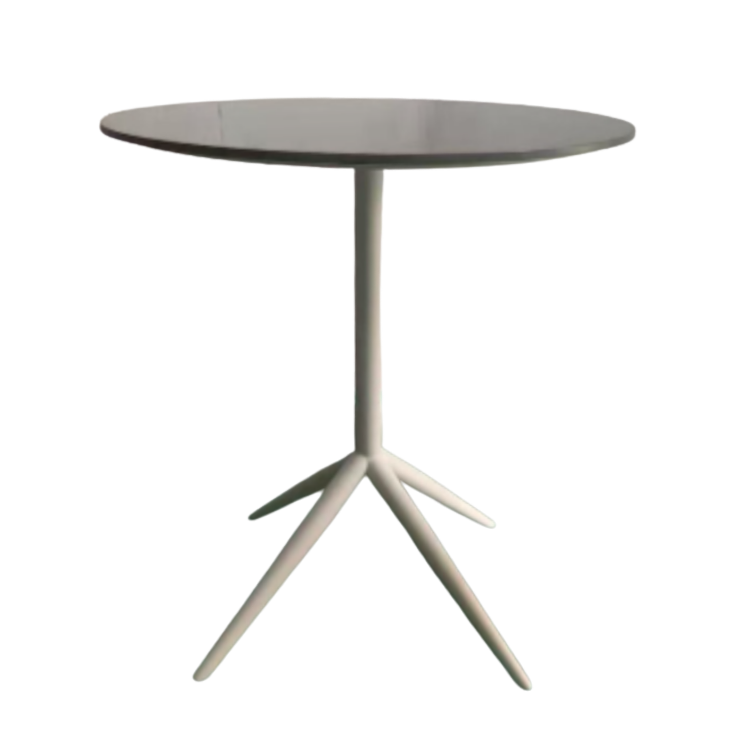 Table ⏐  テーブル